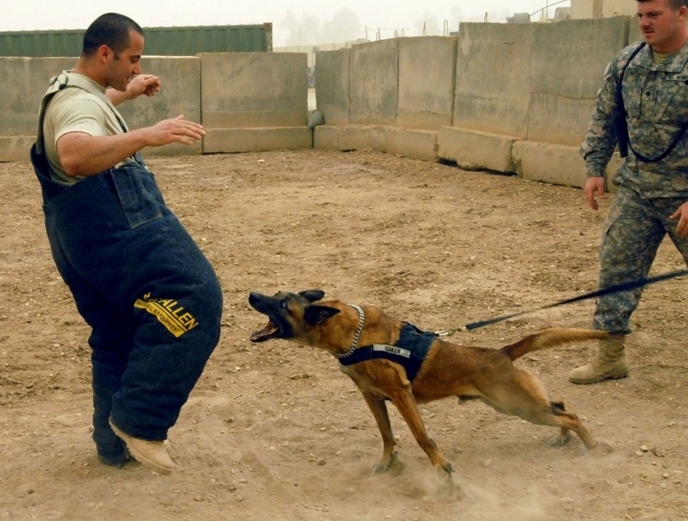 On the Ground: U.S. Efforts Improve Detainee Care, Security in Iraq