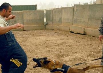 On the Ground: U.S. Efforts Improve Detainee Care, Security in Iraq