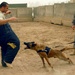 On the Ground: U.S. Efforts Improve Detainee Care, Security in Iraq