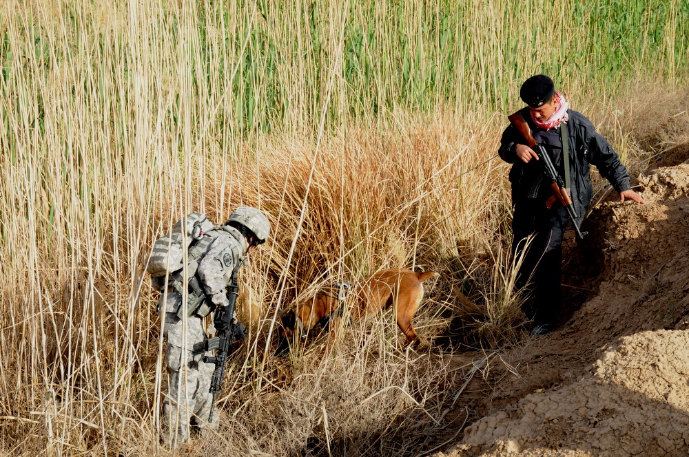 Patrol near Osharea, Iraq