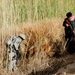Patrol near Osharea, Iraq