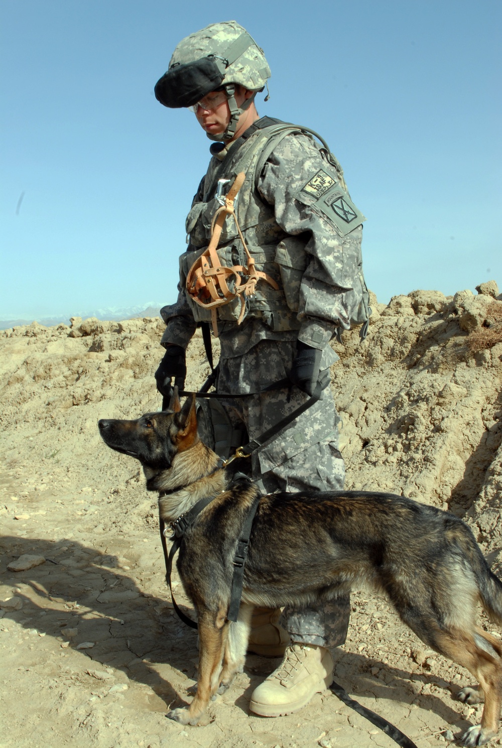 Lucky dog keeps soldiers safe, identifies improvised explosive devices