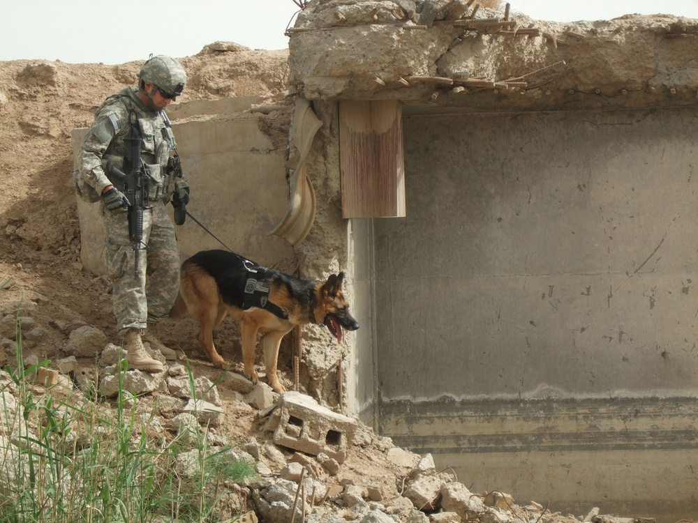 Troop C searches for weapons in Taji