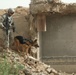 Troop C searches for weapons in Taji