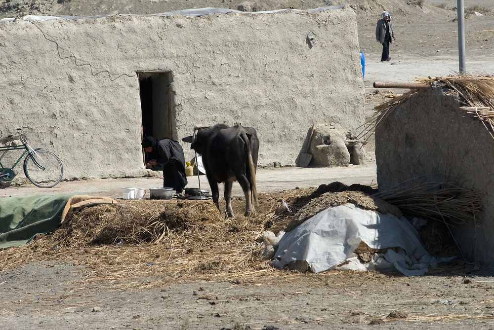 Various action in Basra