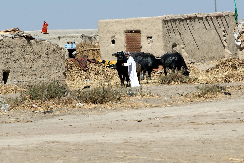 Various action in Basra