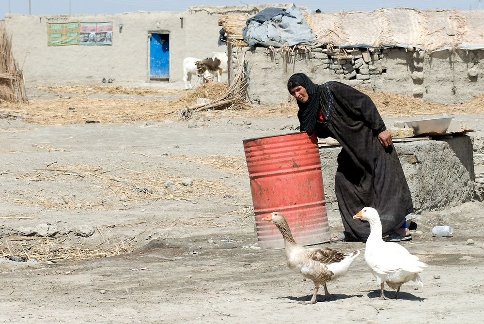 Various action in Basra