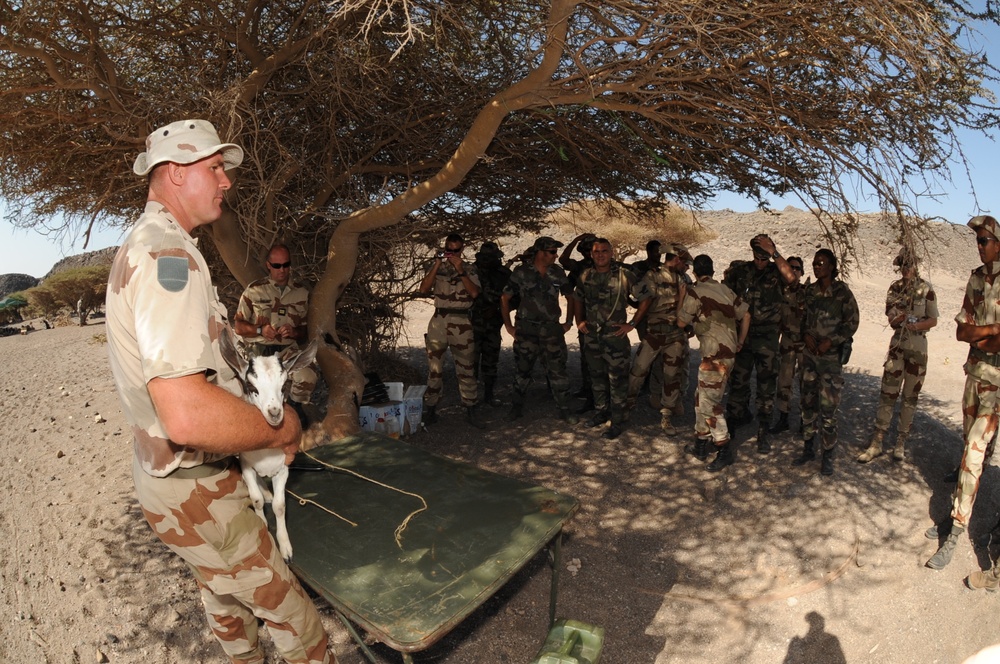 Desert survival training in the Geggade Desert
