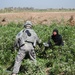 Patrol in Mahmudiyah, Iraq