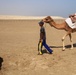 Sustainment Soldiers enjoy fun and sun in Qatar