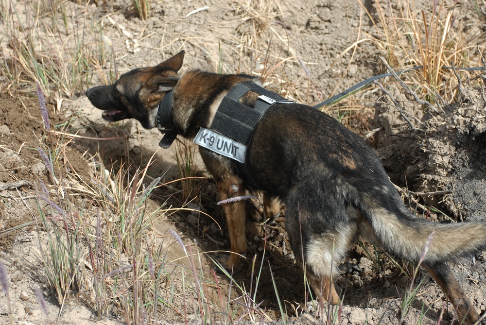 Patrol in Abu Ghraib Patrol in Abu Ghraib