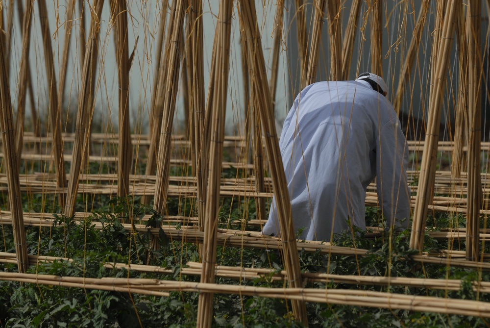 Patrol in Abu Ghraib Patrol in Abu Ghraib