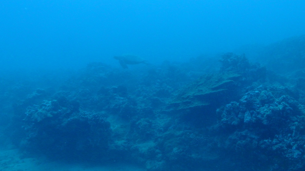 USN Port Royal vessel grounding injury site