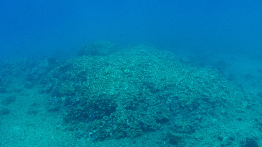 USN Port Royal vessel grounding injury site