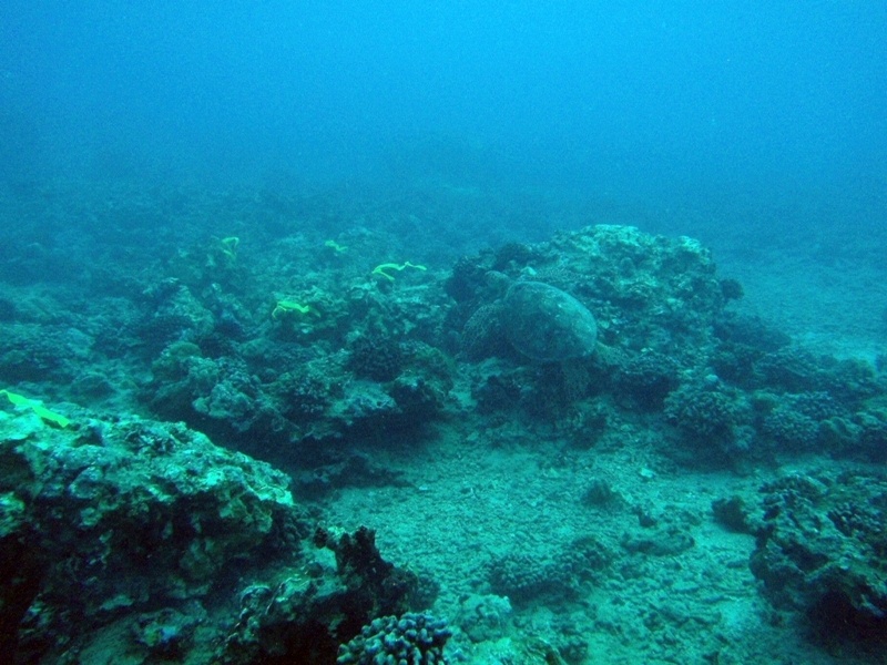 USN Port Royal vessel grounding injury site