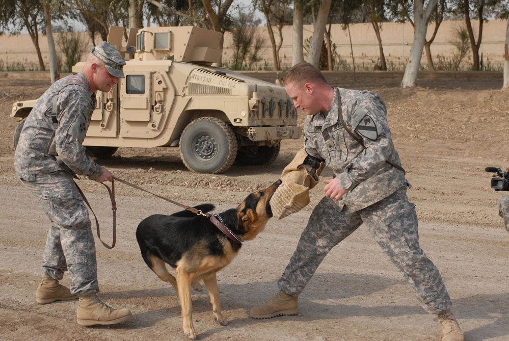 K-9 Patrol Training in Baghdad, Iraq