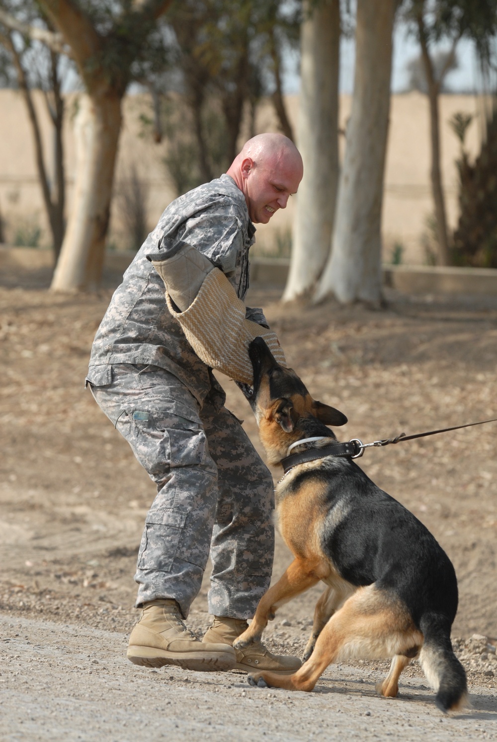 K-9 Patrol Training in Baghdad, Iraq