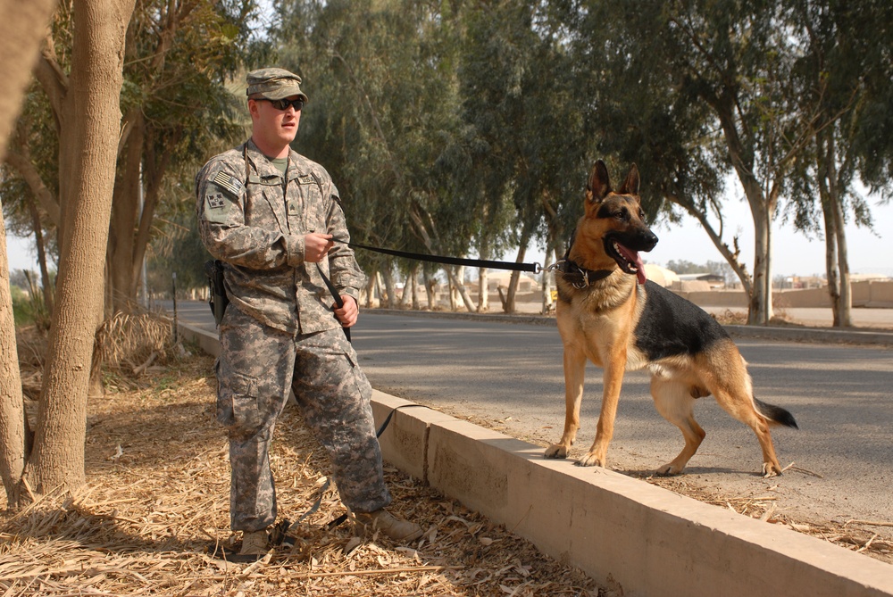 K-9 Patrol Training in Baghdad, Iraq