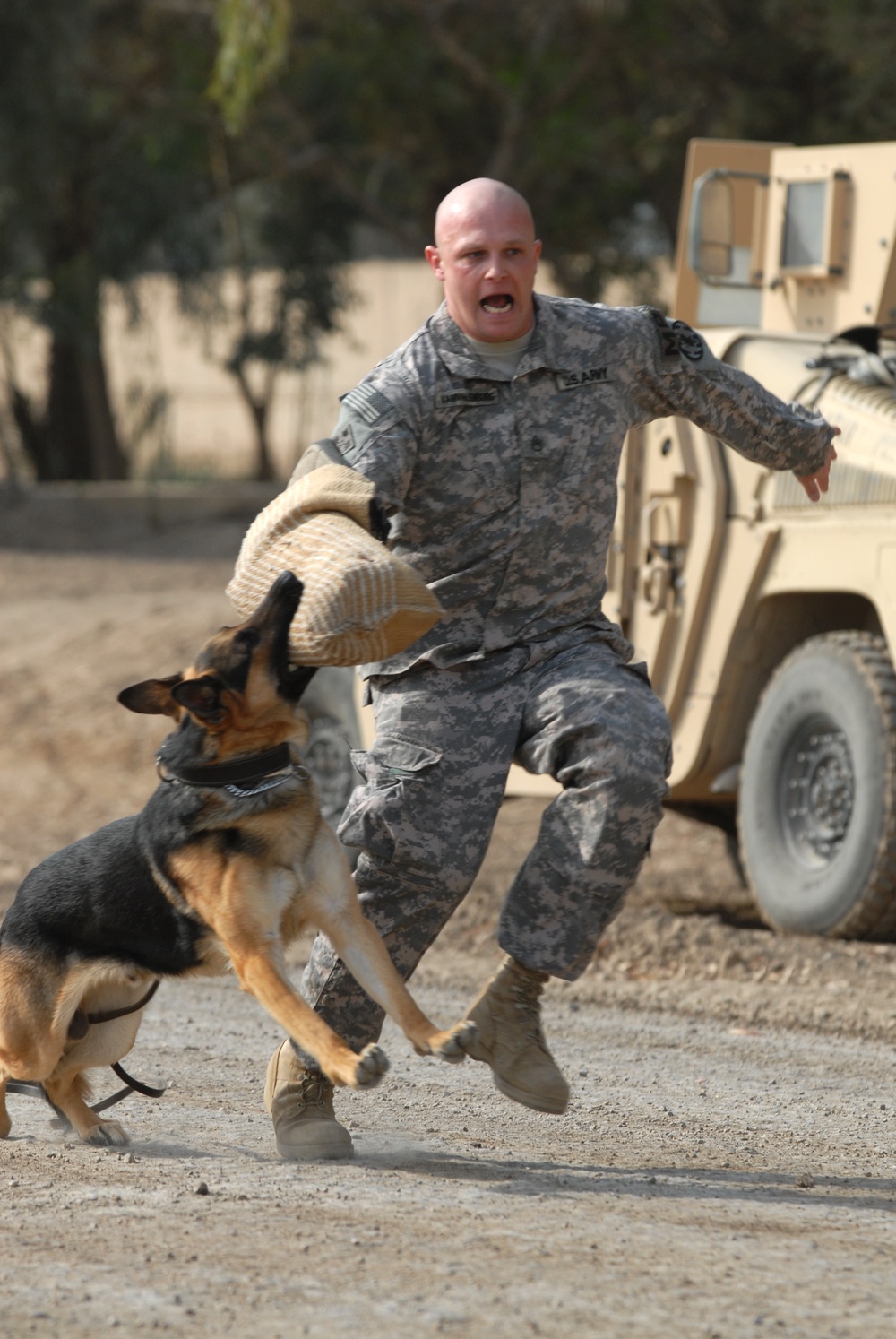 K-9 Patrol Training in Baghdad, Iraq