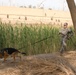 K-9 Patrol Training in Baghdad, Iraq