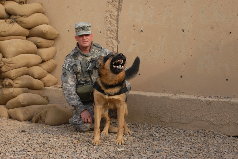 K-9 Patrol Training in Baghdad, Iraq