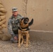 K-9 Patrol Training in Baghdad, Iraq