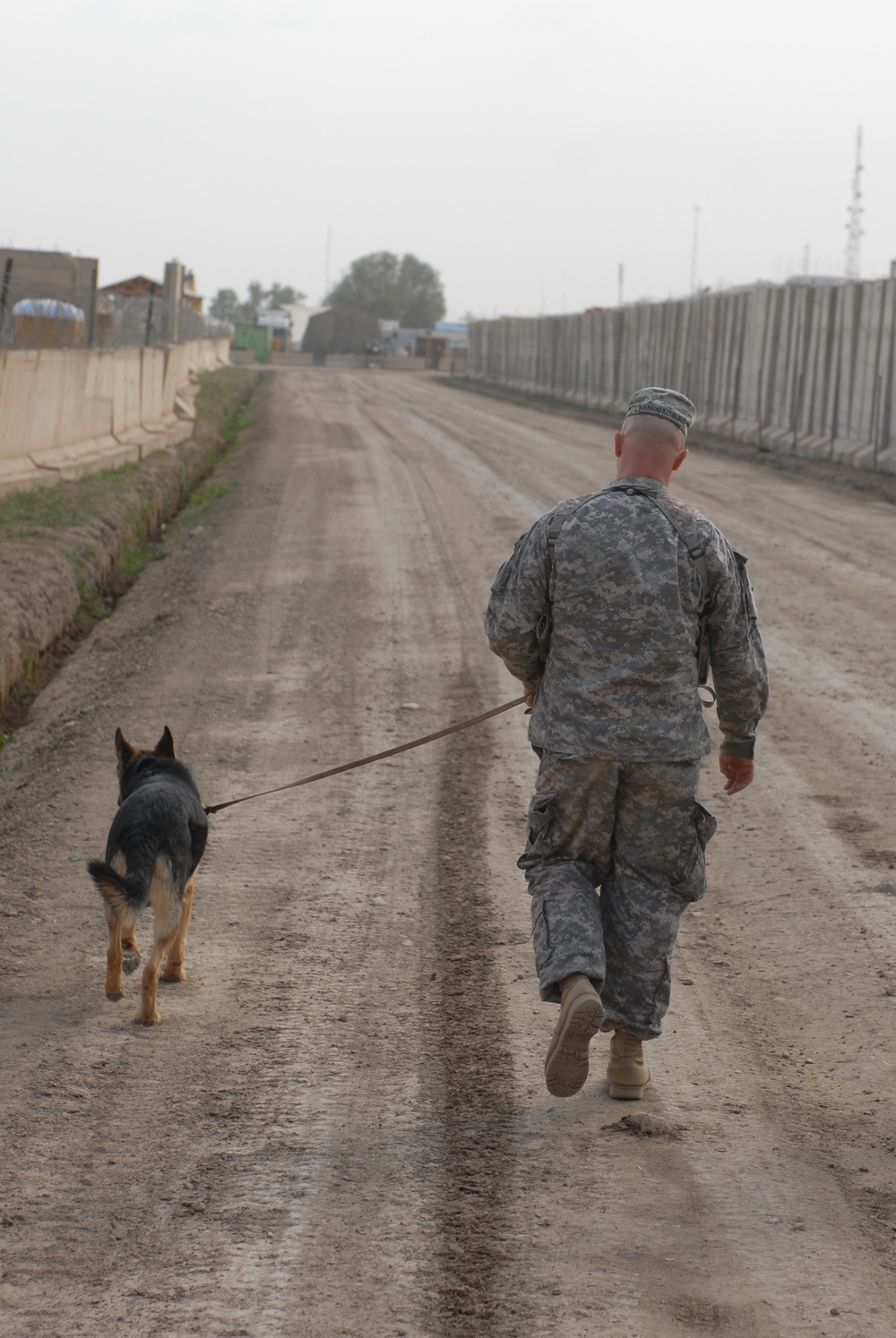 K-9 Patrol Training in Baghdad, Iraq