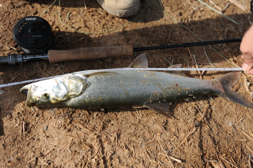 Combat Fly Fishing in Baghdad