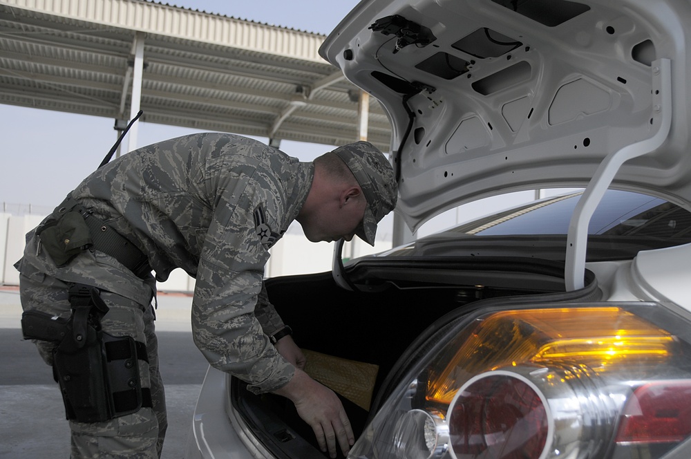 Guardians of the 380th Air Expeditionary Wing