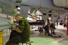 New mission, new plane, new friends - Michigan Air Guard A-10 unit learning from Maryland