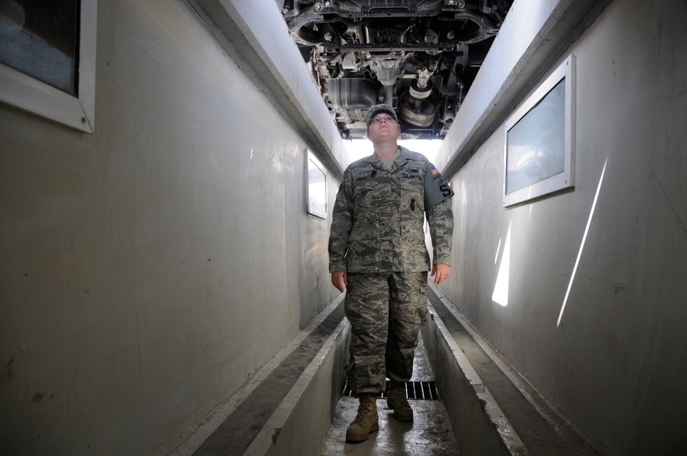 Guardians of the 380th Air Expeditionary Wing