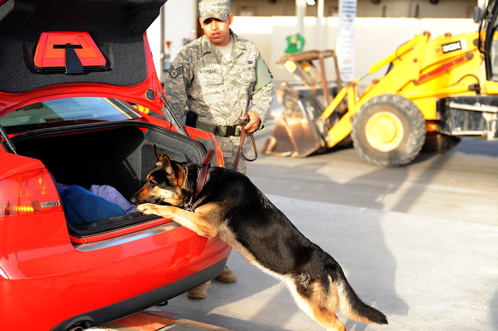 Guardians of the 380th Air Expeditionary Wing