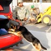 Guardians of the 380th Air Expeditionary Wing