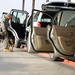 Guardians of the 380th Air Expeditionary Wing