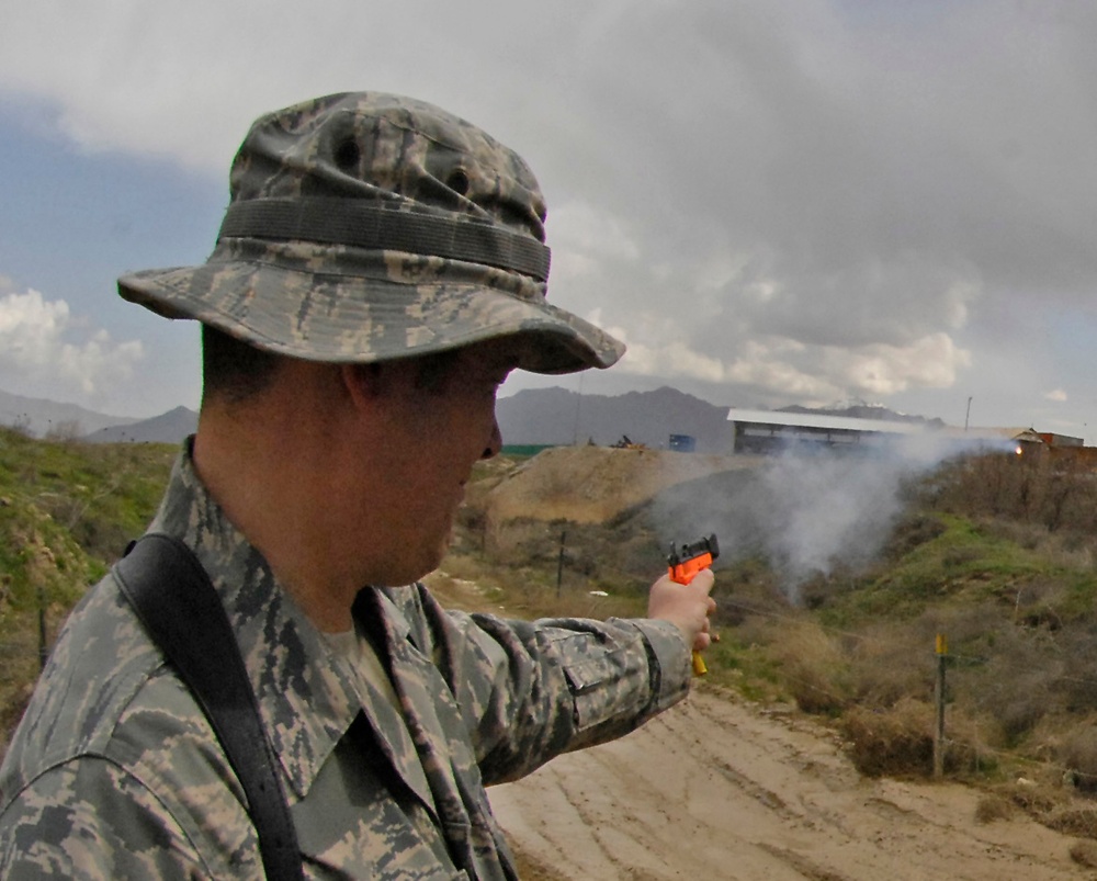 Safety experts spearhead efforts to minimize bird strikes