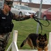 Navy working dogs