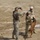 K-9 training at Forward Operating Base Echo