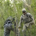 Palm grove search in Jazeera