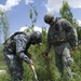 Palm grove search in Jazeera