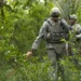 Palm grove search in Jazeera