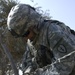 Palm grove search in Jazeera