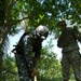Palm grove search in Jazeera
