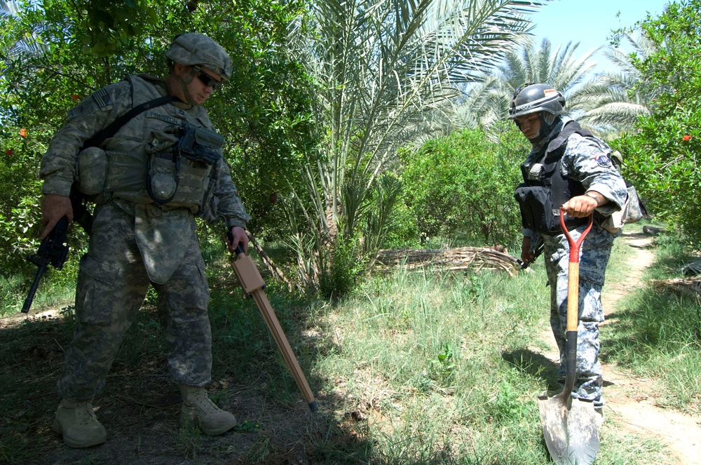 Palm grove search in Jazeera