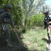 Palm grove search in Jazeera