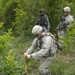 Palm grove search in Jazeera