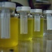 Preventative medicine team works out the bugs for U.S., Afghan troops in Heart