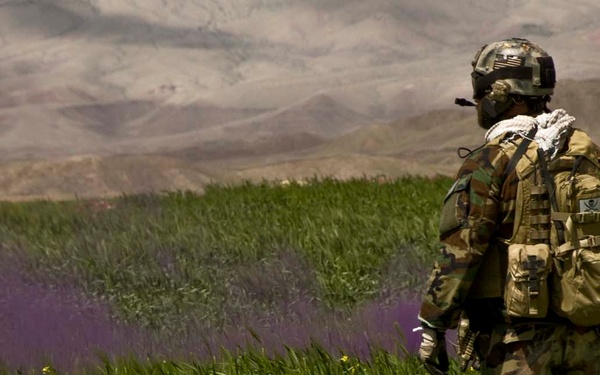 Afghan, Coalition forces provide security in Farah province