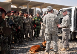 Man's Best Friend Wags Tail to Security in Mosul