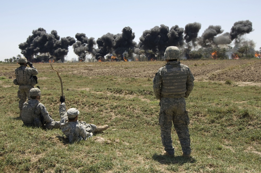 Controlled Burn of a Palm Grove in Daliabas, Iraq