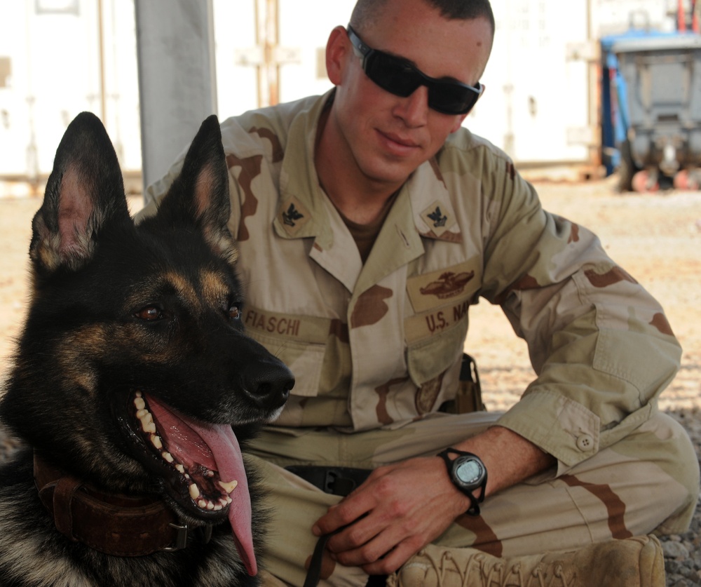 Military Working Dog Unit Training Camp Lemonier